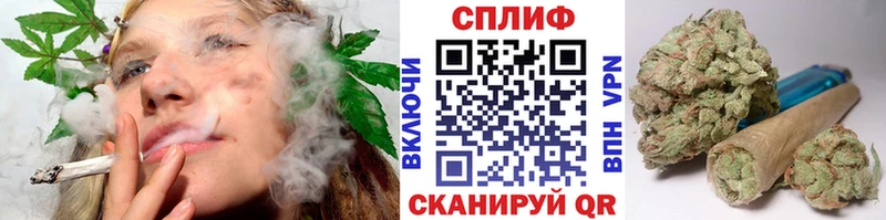 Шишки марихуана семена  Гаврилов Посад 